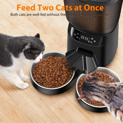 Dual Automatic Cat Feeder