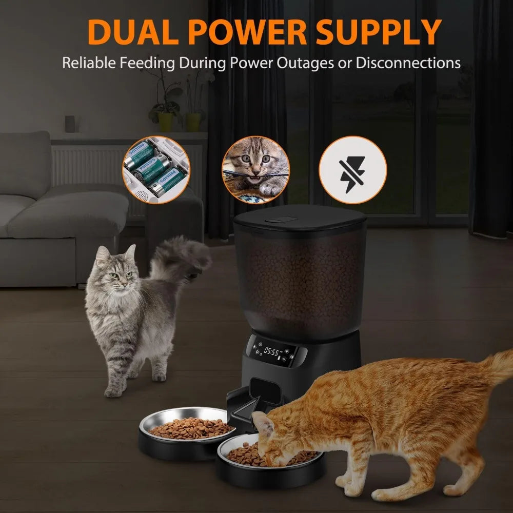 Dual Automatic Cat Feeder